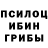 Псилоцибиновые грибы Psilocybe Moto Chopra