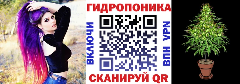 Бошки Шишки планчик  где продают наркотики  Шумиха 
